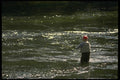 185059 Western Trout Fishing A4 Photo Print