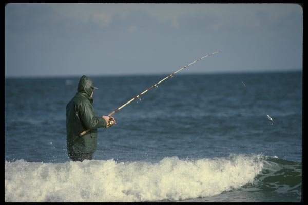 185062 Surf Fisherman A4 Photo Print