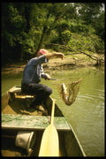 185064 Trotline Fisherman Lands Big Fish A4 Photo Print