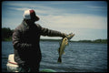 185071 Angler Holds Trophy Walleye A4 Photo Print