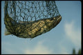 185078 Walleye 9lb. Trophy In Net A4 Photo Print