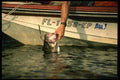 185079 Angler Bringing In Fish A4 Photo Print
