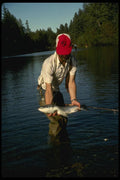 185080 Angler Shows Nice Silver Or Coho Salmon A4 Photo Print