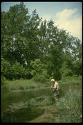 185083 Trout Fishing On Pennsylvania's Famed Letort A4 Photo Print