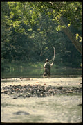185086 Spring Summer Fly fishing A4 Photo Print