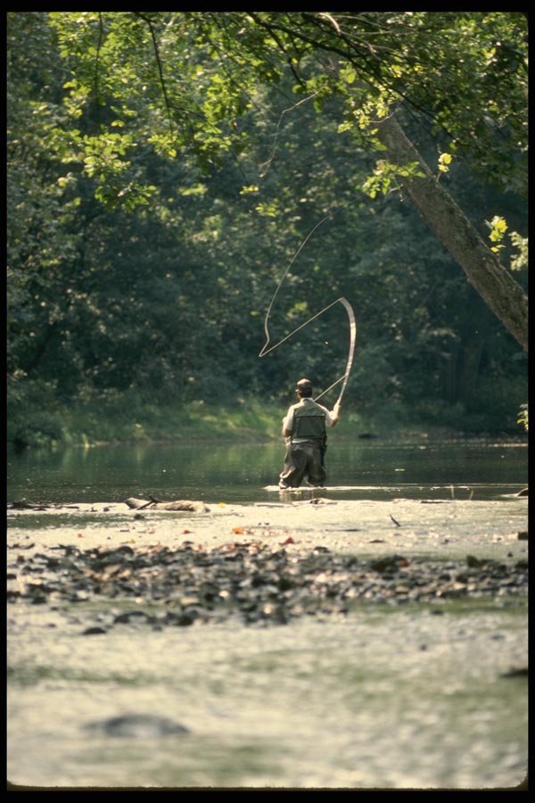 185086 Spring Summer Fly fishing A4 Photo Print