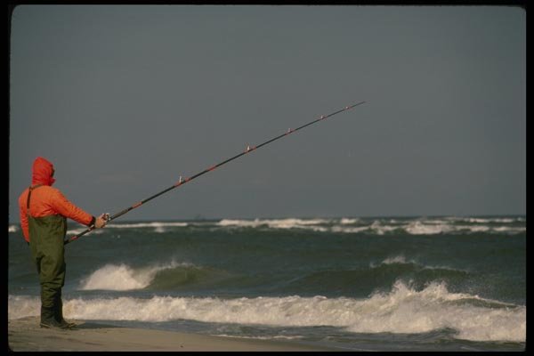 185088 Fishing The Surf A4 Photo Print