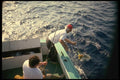185096 Landing A Dolphin A4 Photo Print