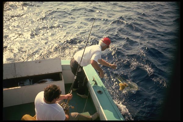 185096 Landing A Dolphin A4 Photo Print
