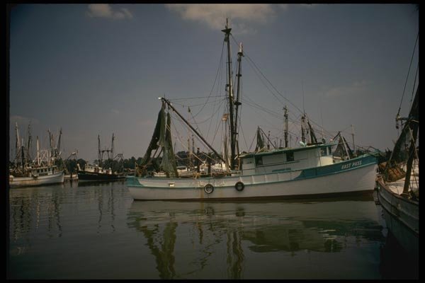 185097 Fishing Boats In Harbor A4 Photo Print