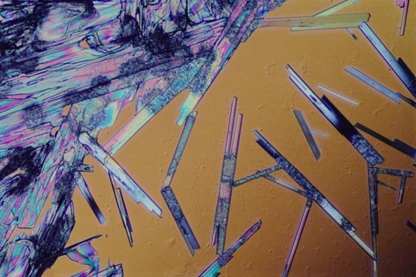 186014 Oxalic Acid Needles A4 Photo Print