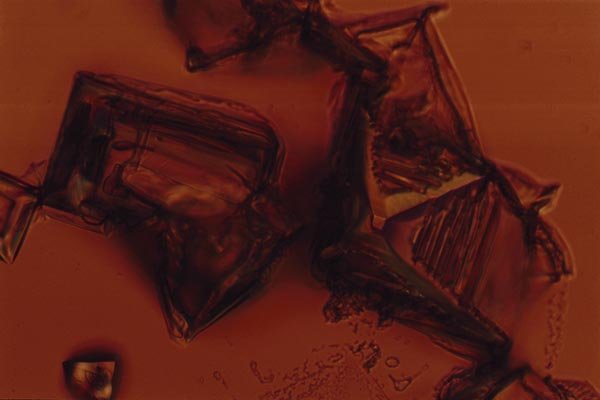 186015 Salt Crystals (detail) A4 Photo Print