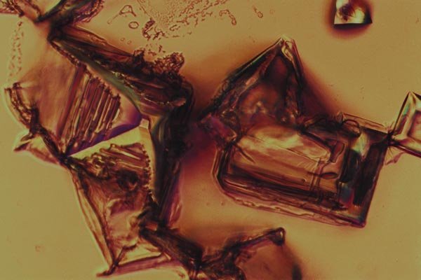 186041 Sodium Chloride Crystals A4 Photo Print