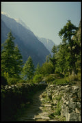 187011 Stone Paved Trekkers Path, Annapurna Circuit A4 Photo Print