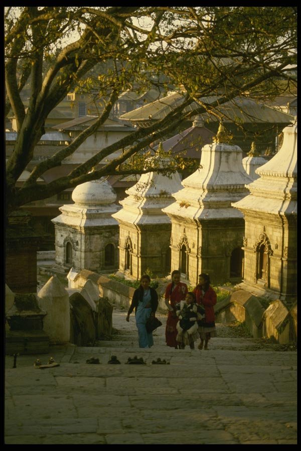187049 Women At Pashupatinath Temple, Katmandu A4 Photo Print