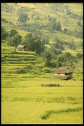 187062 Farmhouses And Rice Terraces, Central Nepal A4 Photo Print