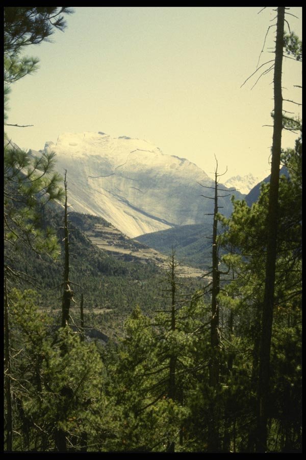 187074 Paungda Danda Rock Face, Annapurna Circuit A4 Photo Print