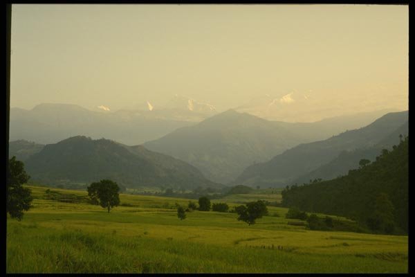 187079 Rice Fields, North Of Dumre, Annapurna Circuit A4 Photo Print