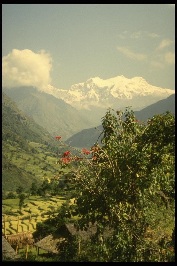 187081 View Looking North Of Marsyandi River, Annapurna Circuit A4 Photo Print