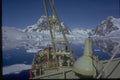 188009 Hunting Seals On The Ice Floes A4 Photo Print