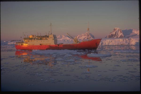 188013 RRS Shackleton And Ice Floes In The Evening Light A4 Photo Print