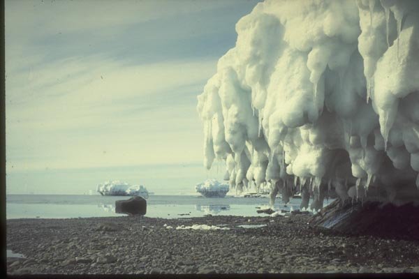 188028 Summer Tranquillity At The Ice foot A4 Photo Print