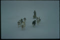 188046 Sledge And Team On Fan Trace In Poor Light A4 Photo Print