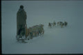 188049 Into The Unknown, Sledging In White out Conditions A4 Photo Print