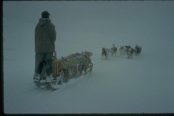 188049 Into The Unknown, Sledging In White out Conditions A4 Photo Print