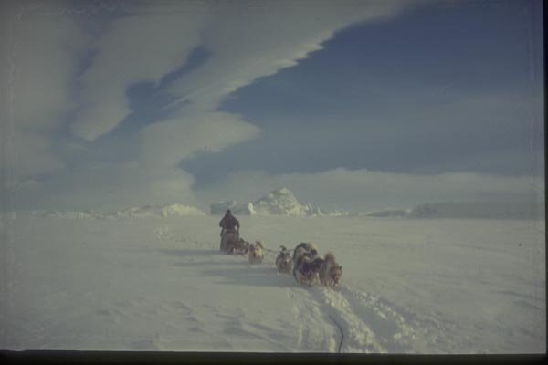 188050 Dogs, Team, Sledge And Driver, Sledging Up Channel A4 Photo Print