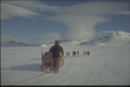 188051 Perfect Conditions For Dog sledging In Spring A4 Photo Print