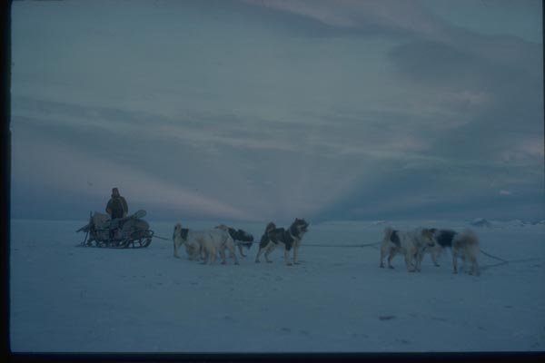 188052 Dog Team And The Sun's Rays, Looking South A4 Photo Print