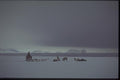 188053 Team And Sledge At Water's Edge, With water Sky  A4 Photo Print