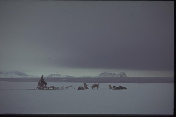188053 Team And Sledge At Water's Edge, With water Sky  A4 Photo Print