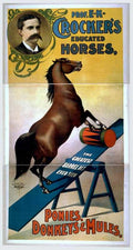 1882u Vintage Advert A4 Photo Print