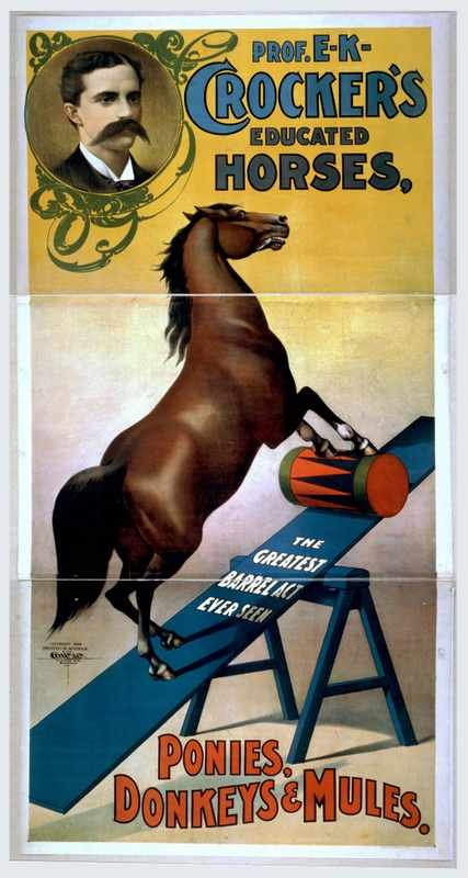1882u Vintage Advert A4 Photo Print