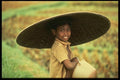 189011 Boy Working At A Rice Paddy, Bali, Indonesia A4 Photo Print