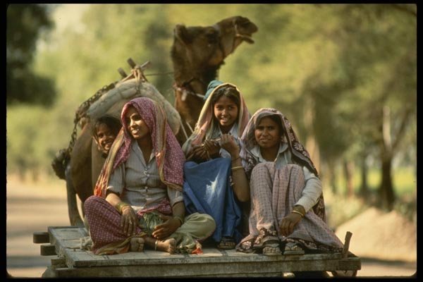 189024 Children On A Camel Cart, Rajasthan, India A4 Photo Print