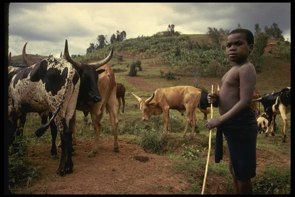 189082 A Cowboy, Kenya A4 Photo Print