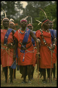 189088 Tribal Dancers Near Nairobi, Kenya A4 Photo Print