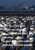 Cursed be he that doeth the work of the LORD deceitfully and cursed be he that keepeth back his sword from blood A4 photo print 