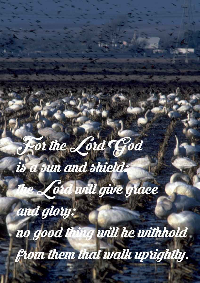 So Solomon kept those eight days A4 photo print 