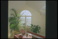 190000 Natural Light A4 Photo Print