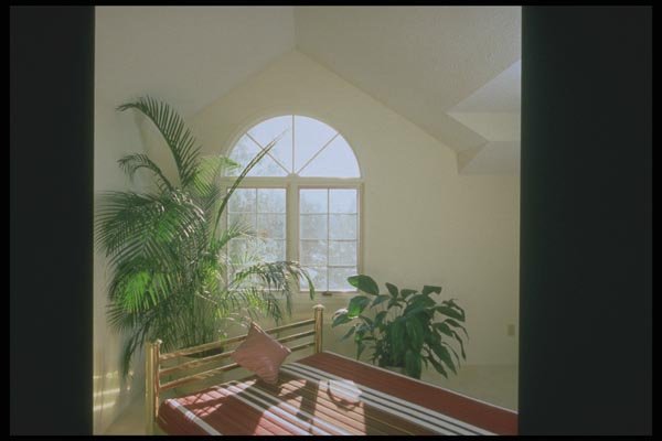 190000 Natural Light A4 Photo Print