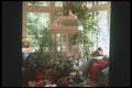 190064 Bird Cage Corner A4 Photo Print