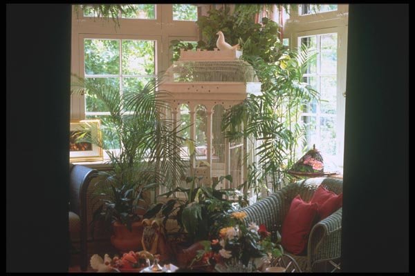 190064 Bird Cage Corner A4 Photo Print
