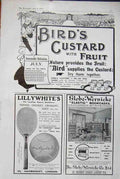 1900S Birds Custard advert A4 Photo Print