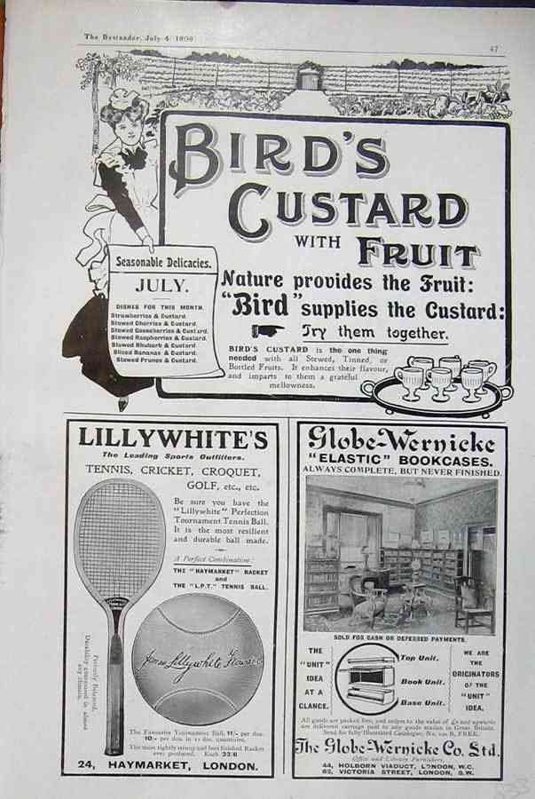 1900S Birds Custard advert A4 Photo Print