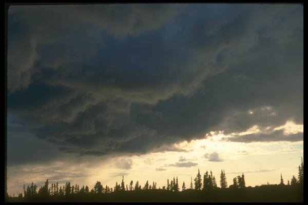 191003 Stratocumulus A4 Photo Print