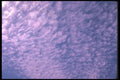 191018 Cirrocumulus A4 Photo Print